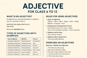 Read more about the article English Grammar Adjectives – Example , exercise – Practice Test